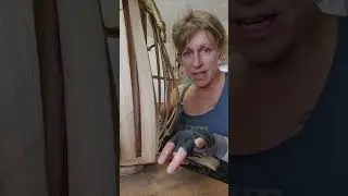 Starting a Continuous Weave 