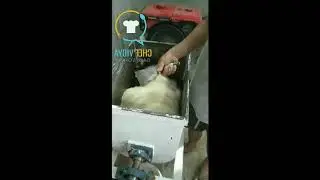 Mesin Roti | skala Industri UKM
