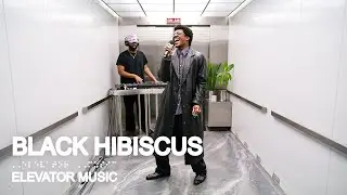 Black Hibiscus (Live Performance) - Elevator Music