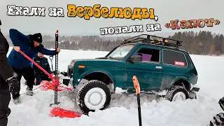 Снежный офф-роуд в Сибири. Suzuki GV 3d, Нивы 3d b и 5d рубятся в ночном лесу.