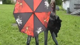 20110530 1259432