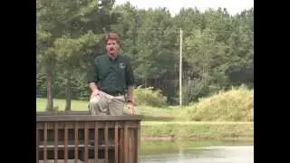 Aquatic plants: How to control a weed problem