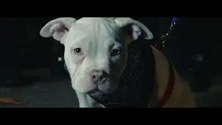 G.E.M.S-Different (Zno, Bagz DA Billy, Rocko Rackz, Puday PIff)