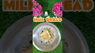 Viral Milk Bread #milkbread #milkbreadtoast #pandameal9594 #yt #trending #viral #trend #shorts