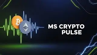 MS Crypto Pulse | Daily Crypto News & Market Updates