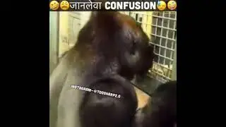 च्या आईला दर वेळेस strong मागितली की storm च देतो😜🤣funny dubs