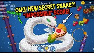 Worm zone Gameplay || I Became the BIGGEST WORM In 5 MINUTES (Worm Zone Speedrun) Best Gameplay 