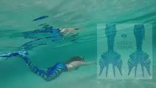 Magictail Premium Pro Mer-May`s 23