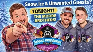 Live with Complete Animal Removal East
