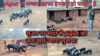 एक बार पैसा लगाने के बाद पांच छह साल तक सिर्फ इनकम