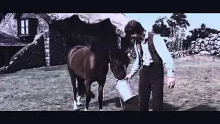War Horse; how to save a life