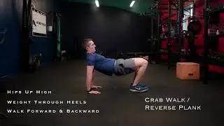 parkHIIT - Crab Walk & Reverse Plank