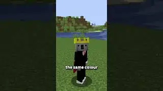 The Trident Has A SECRET In Minecraft...