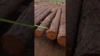 Grading Lumber