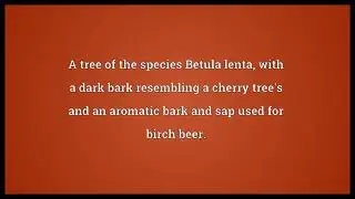 Sweet birch Meaning
