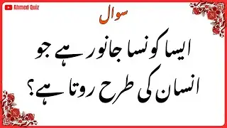 Interesting Facts | General Knowledge Quiz in Urdu | GK Questions | Urdu Quiz