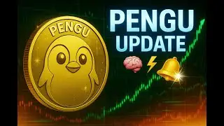 Pengu Crypto Analysis - Update
