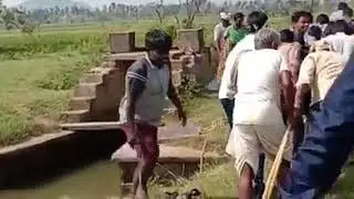 #CycloneTitli