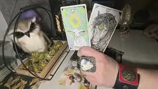 ❄️🤷Святки❄️. Ты мне прямо скажи, что ты хочешь🤷❄️