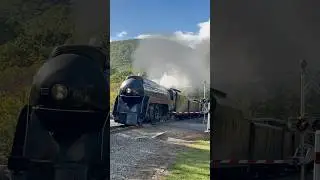 N&W Steam Locomotive No. 611!