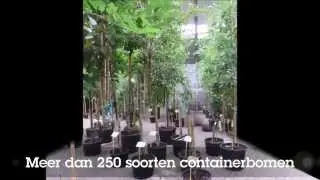 Impressie Najaarsbeurs 2014 | Harry Menkehorst Kwekerijen