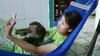 Monkey Baby Nui   Nui like this, do you love Nui flipped
