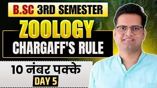 Chargaff's Rule!Day-5!B.Sc 3rd Semester Zoology!Be DKDian