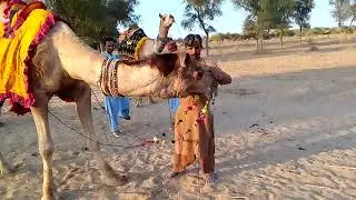 @Beautiful Camel 