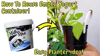 How To Reuse Empty Yogurt Container| Recycle Yogurt Container | Pot painting ideas  | Aadhi's Crafts