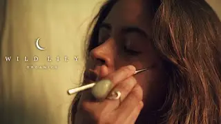 Wild Lily Organics