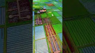 Pesona Taman Bunga Sembalun @SKY-4K #travel #lombok #sembalun #drone #dji #landscape #aerial #rural