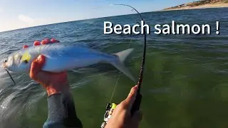 Beach fishing for Salmon on SA Beaches, Fishing drone scouting mission for bait balls.