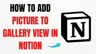 How to Add Pictures to Gallery View in Notion &ndash; Full Guide