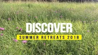 Summer retreats / Zen meditation - temple La Gendronni&egrave;re