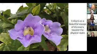CEE 2023 - Wild Intuition & Play Forward, Melissa Wild