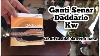 Ganti Seddel, Nut dan Senar (Gitar Legacy Original)
