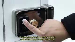 Review Tuya Wifi Smart Door Lock APP Remote Control TTlock Bluetooth Fingerprint 2024