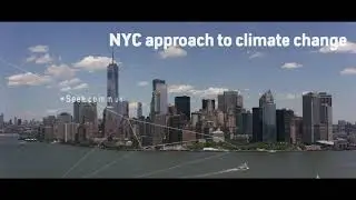 Adaptation voices: New York #AdaptOurWorld