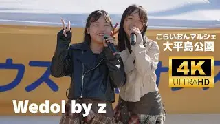 Wedol by z ウィドル バイ ジー ／ 一宮市 大平島公園「こらいおんマルシェ」2025年11月3日