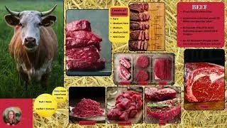 Animal Staples-What is Beef Protein?