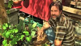 Permaculture Paradise: Alex's PermaGarden - Part 3