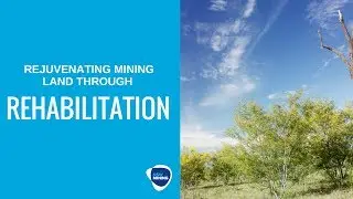 Mining rehabilitation - Mangoola coal mine, NSW Hunter Valley