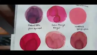 August 2025- Ink Sample Haul
