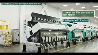 Brief presentation of OBSERVATION series color sorter