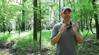 Big Black River Hunting land for sale! #huntinglandman