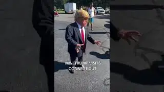 Mini trump returns to Connecticut! ##minitrump #trump #viral #America #ronsgunsct