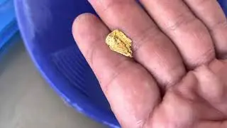 Paydirt Parody @MillerProspecting Is the best PAYDIRT Reviewer in the World! GOLD NUGGET WARNING!