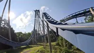 Wild Eagle