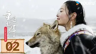 ENGSUB【重返狼群10周年特别纪念版 Return to the Wolves】EP02：都市宅狼—格林背后的故事，诠释人与动物之间的生命意义 | 李微漪/亦风 | 动物纪实 | 优酷 YOUKU