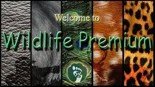 Welcome to Wildlife Premium! - Watch the Latest, Exclusive and Most Incredible Wildlife Footage
